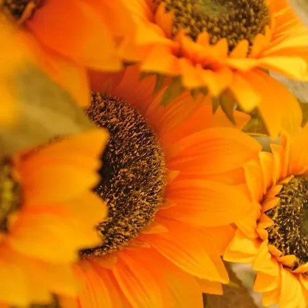 Aldebaran Centro Storico Сasa de vacaciones